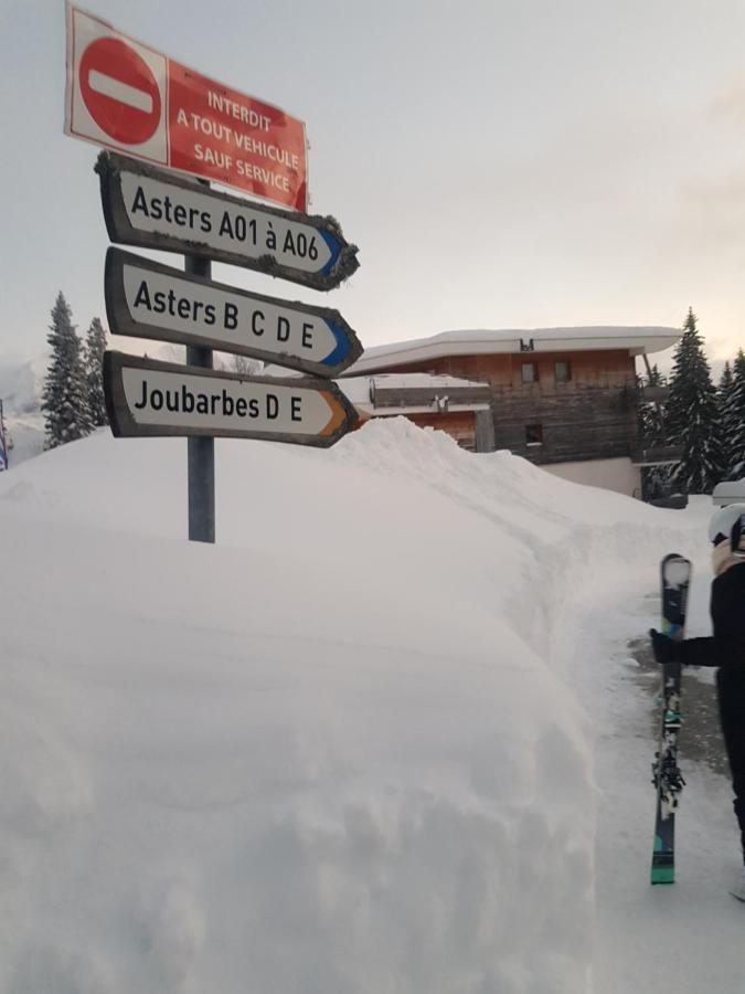 Apartment L'apres-ski 1700